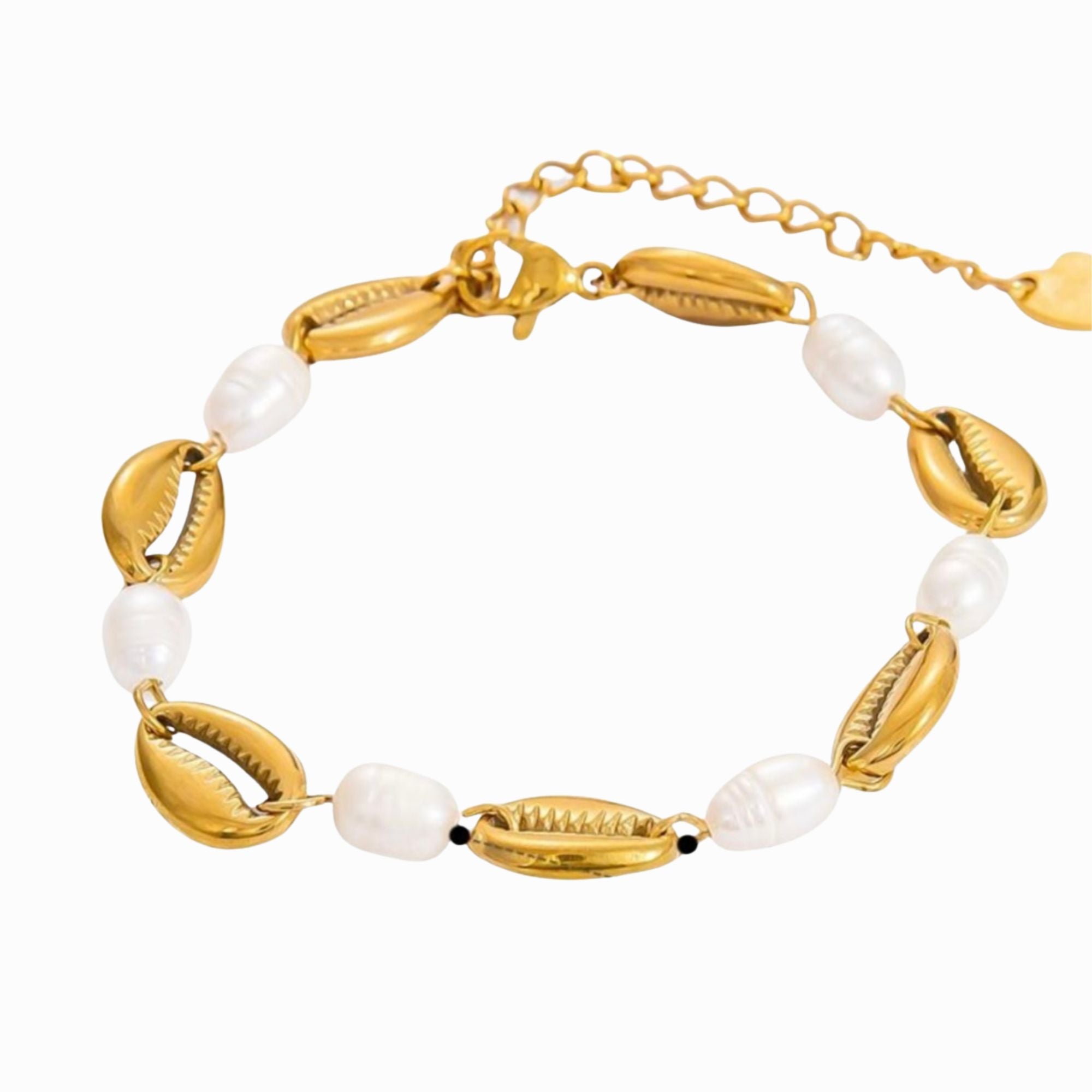 Shell Bracelet